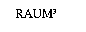 RAUM3