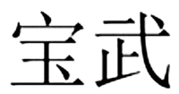 BAO WU