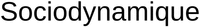 Sociodynamique