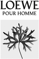 LOEWE POUR HOMME