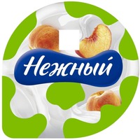 Nezhnyi