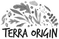 TERRA ORIGIN