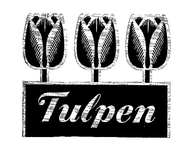 Tulpen