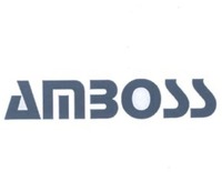 AMBOSS