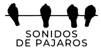 SONIDOS DE PAJAROS