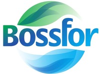 Bossfor
