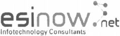 esinow net Infotechnology Consultants