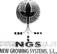 NGS NEW GROWING SYSTEMS, S.L.