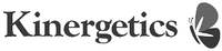 Kinergetics