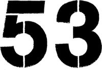 53