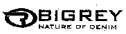 BIGREY NATURE OF DENIM