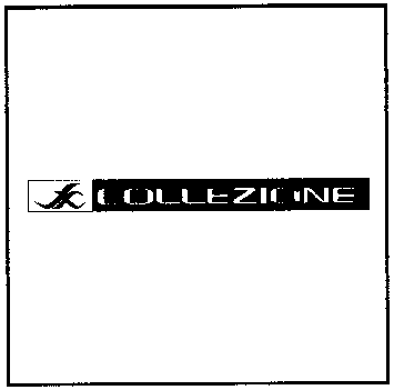 COLLEZIONE