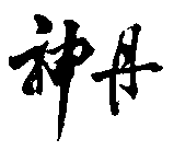 SHEN DAN.