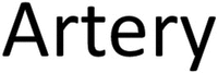 Artery