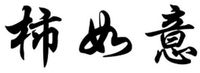  SHI RU YI 