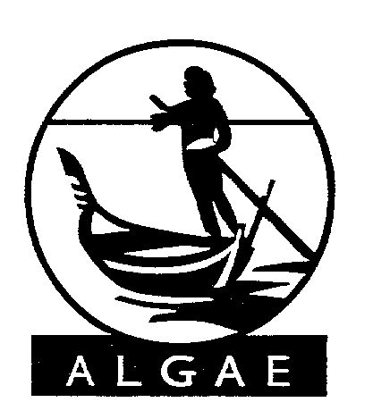 ALGAE