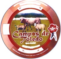 Campos de Toledo