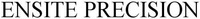 ENSITE PRECISION