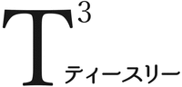 T3