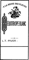 A LA REINE DES FLEURS HÉLIOTROPE BLANC L.T. PIVER