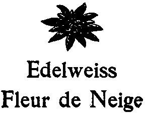 Edelweiss Fleur de Neige