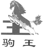JU WANG