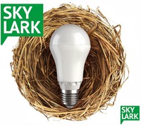 SKY LARK