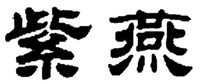 ZI YAN.