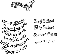 aranyfácán Goudfazant Faisan doré Goldfasan Golden pheasant Fagiano d'oro