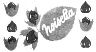 noisella