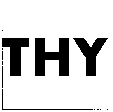 THY