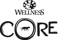 WELLNESS CORE