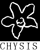CHYSIS