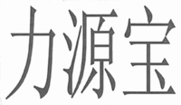 LI YUAN BAO