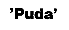 Puda