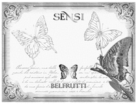SENSI BELFRUTTI