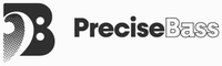 Precise Bass
