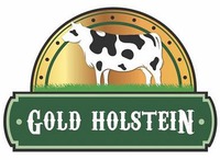 GOLD HOLSTEIN