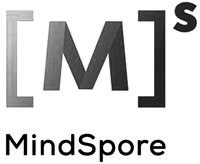 Ms MindSpore