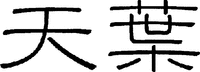 TIAN YE