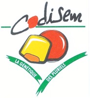 Codisem LA GÉNÉTIQUE DES PLURIELS