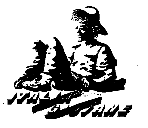 ITALIA GIOVANE