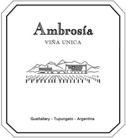 Ambrosía VIÑA UNICA Gualtallary - Tupungato - Argentina