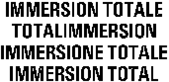 IMMERSION TOTALE TOTALIMMERSION IMMERSIONE TOTALE