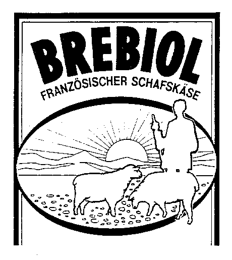 BREBIOL FRANZÖSISCHER SCHAFSKÄSE