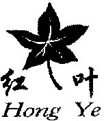 Hong Ye