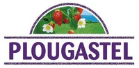 PLOUGASTEL
