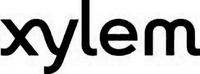 xylem