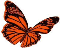 COMMON TIGER