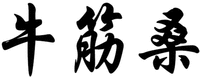 NIU JIN SANG